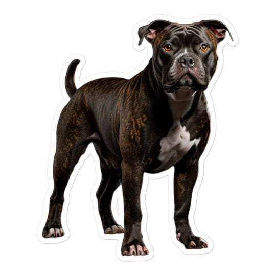 American Staffordshire Terrier Sticker - Stickerfy.ai