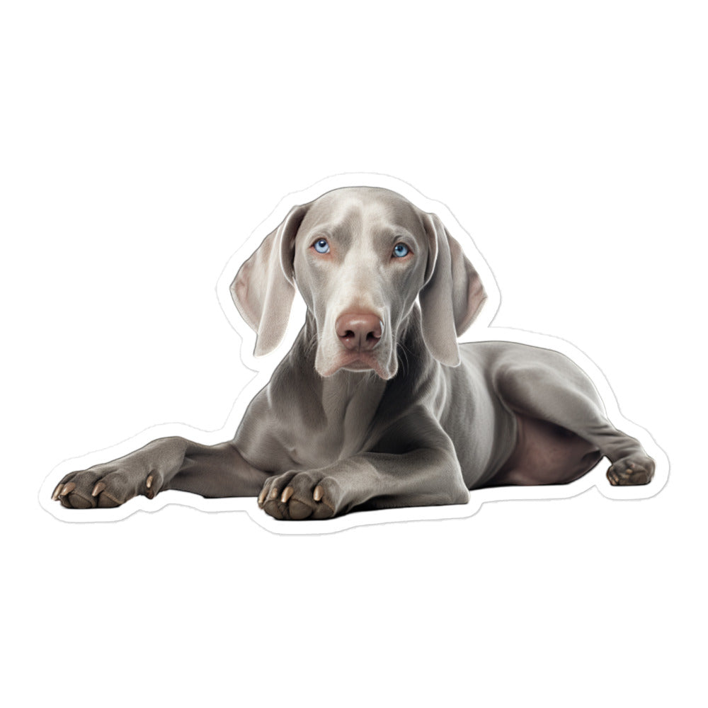 Weimaraner Sticker - Stickerfy.ai