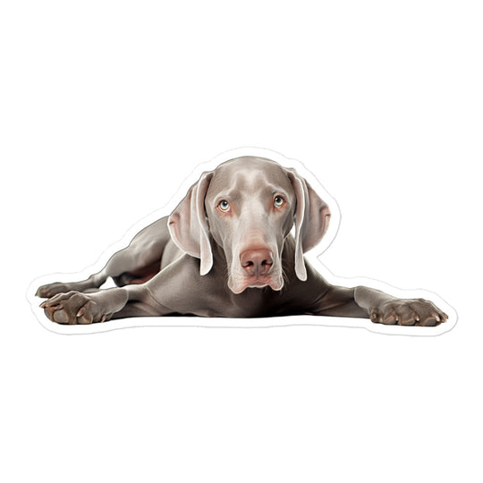 Weimaraner Sticker - Stickerfy.ai
