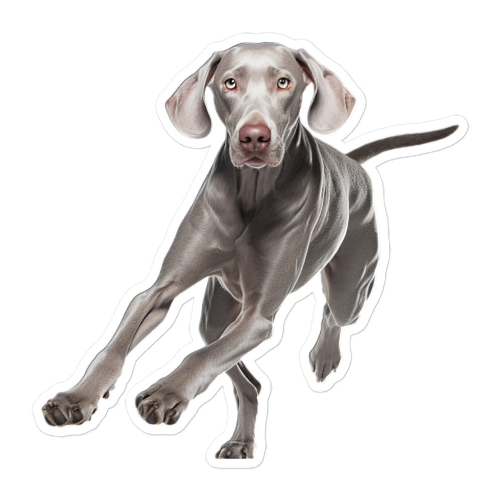 Weimaraner Sticker - Stickerfy.ai