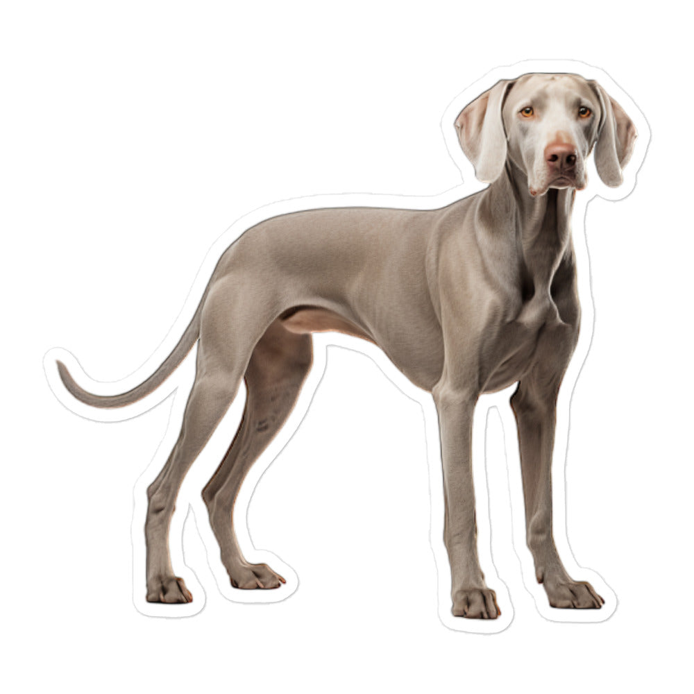 Weimaraner Sticker - Stickerfy.ai