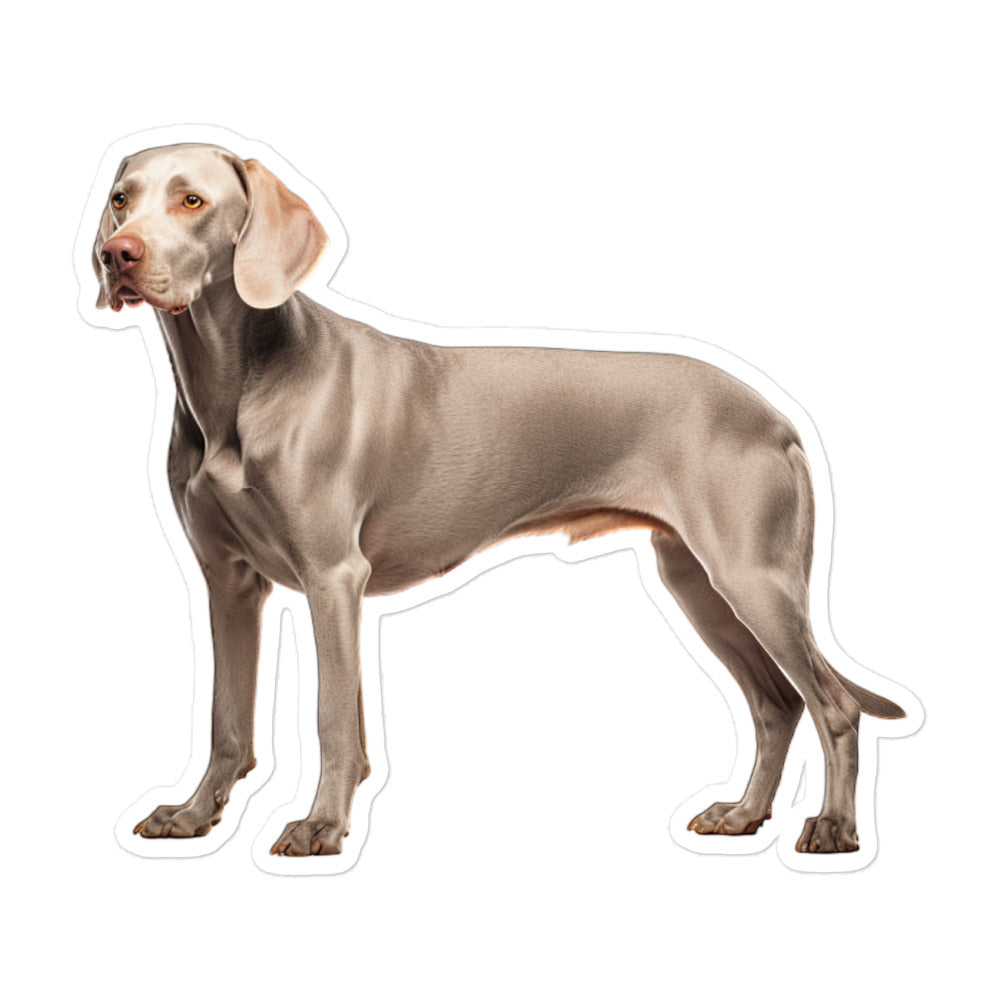 Weimaraner Sticker - Stickerfy.ai