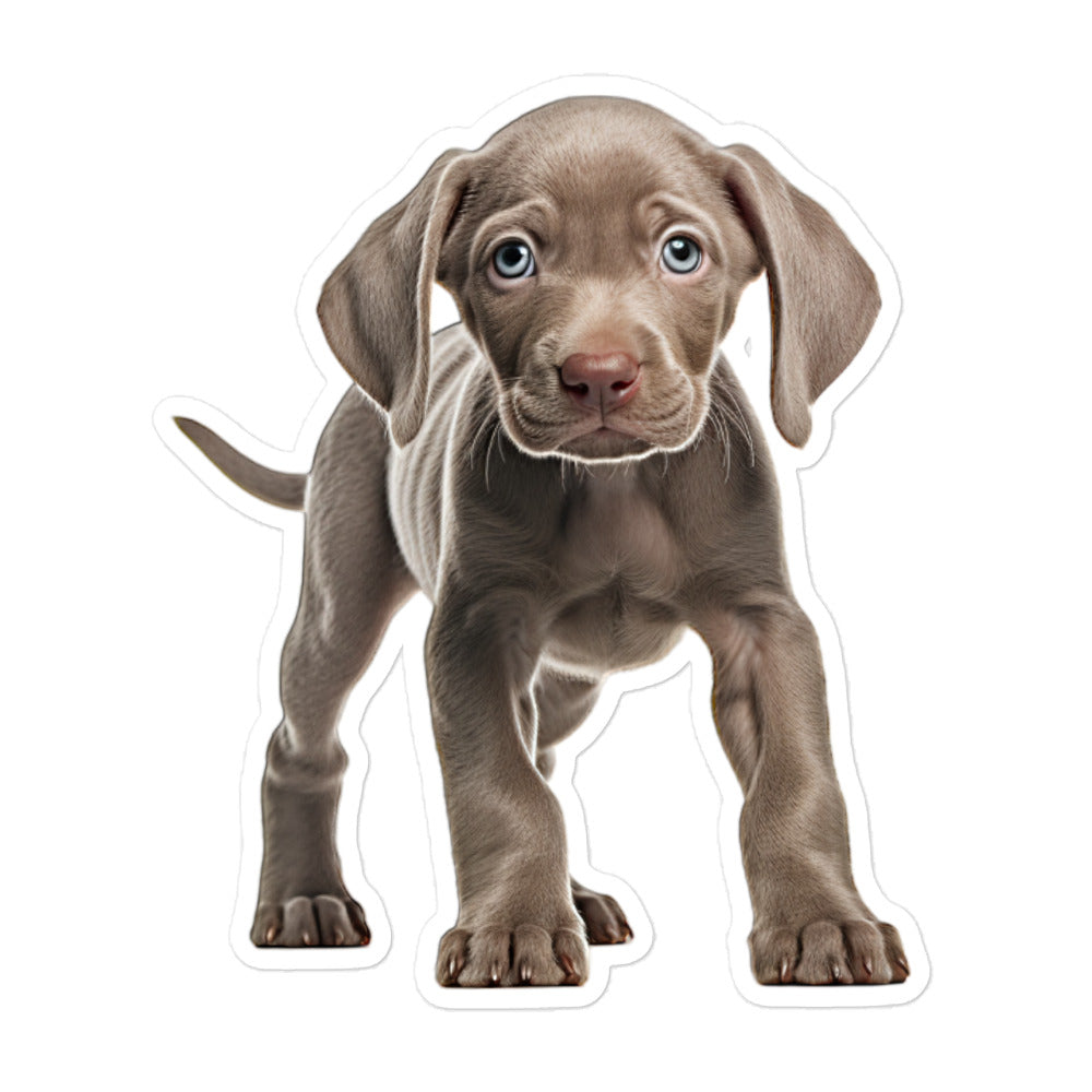 Weimaraner Sticker - Stickerfy.ai