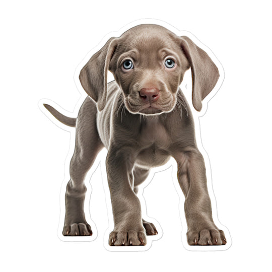 Weimaraner Sticker - Stickerfy.ai