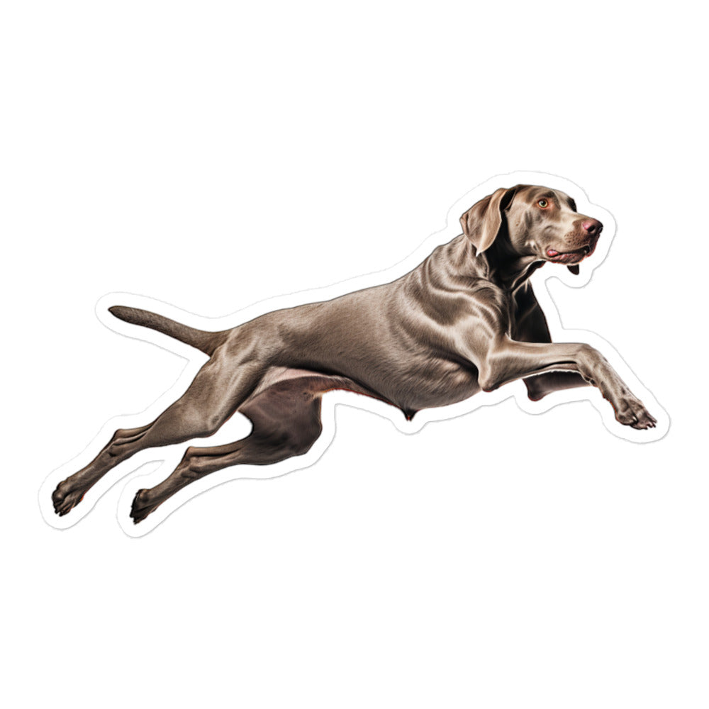 Weimaraner Sticker - Stickerfy.ai