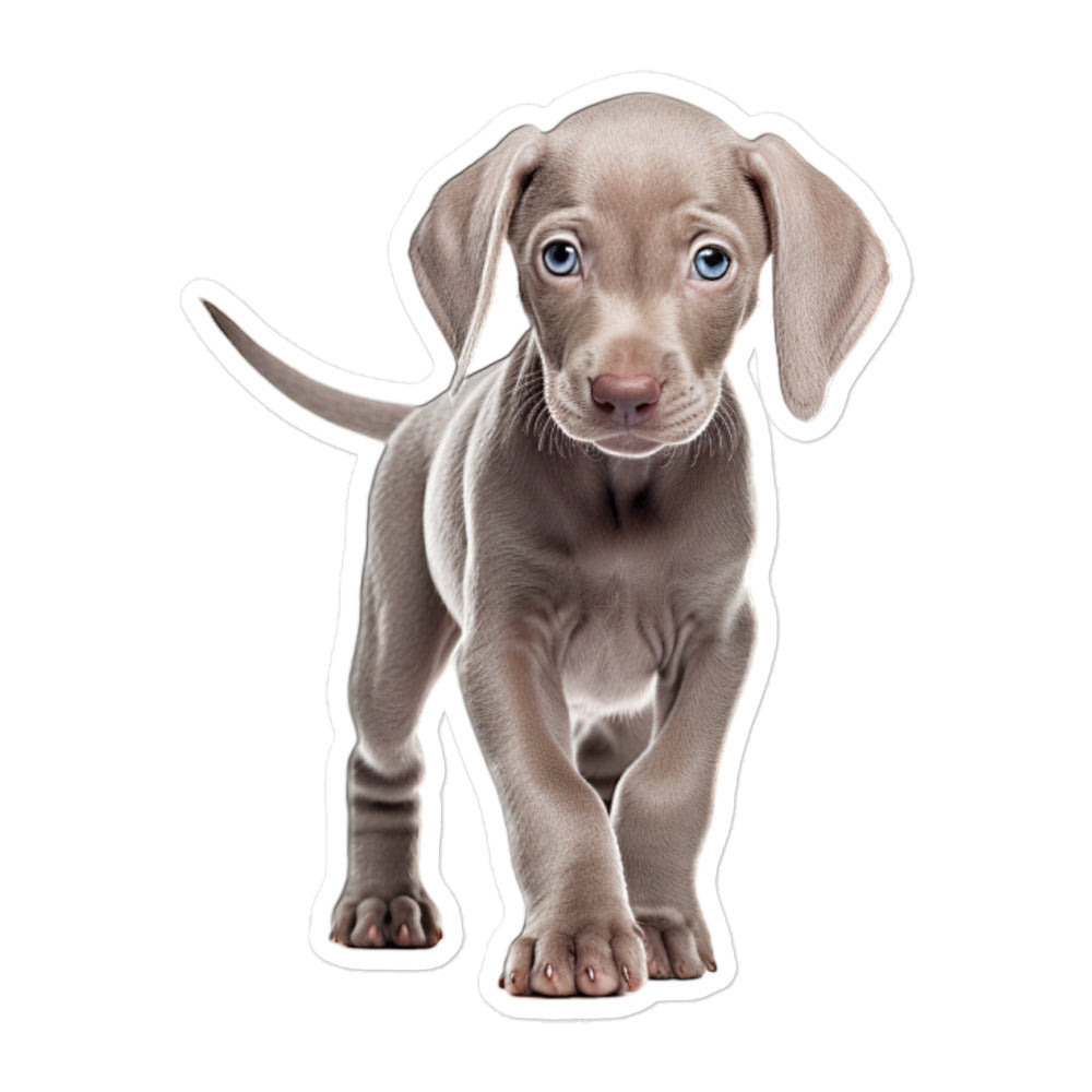 Weimaraner Sticker - Stickerfy.ai