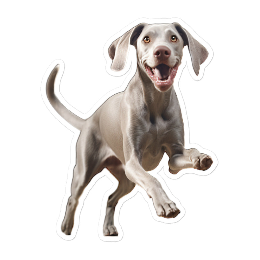 Weimaraner Sticker - Stickerfy.ai