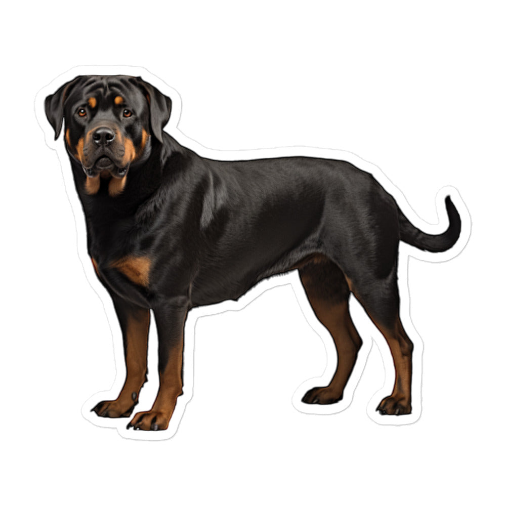 Rottweiler Sticker - Stickerfy.ai