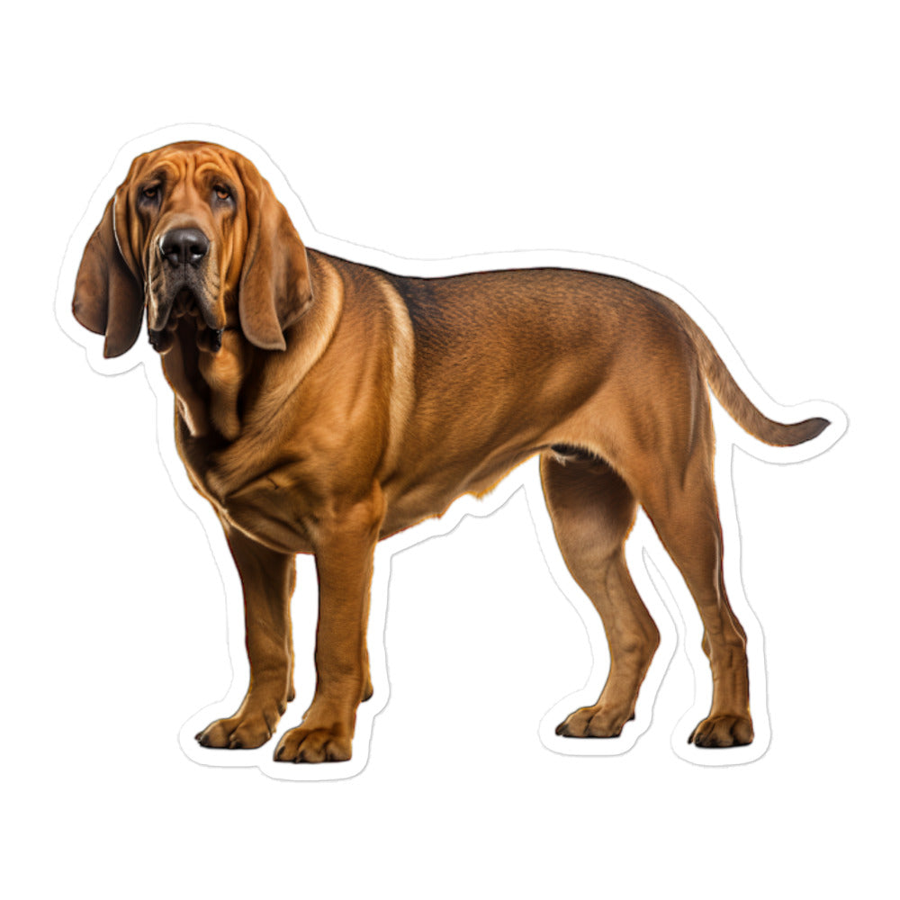 Bloodhound Sticker - Stickerfy.ai
