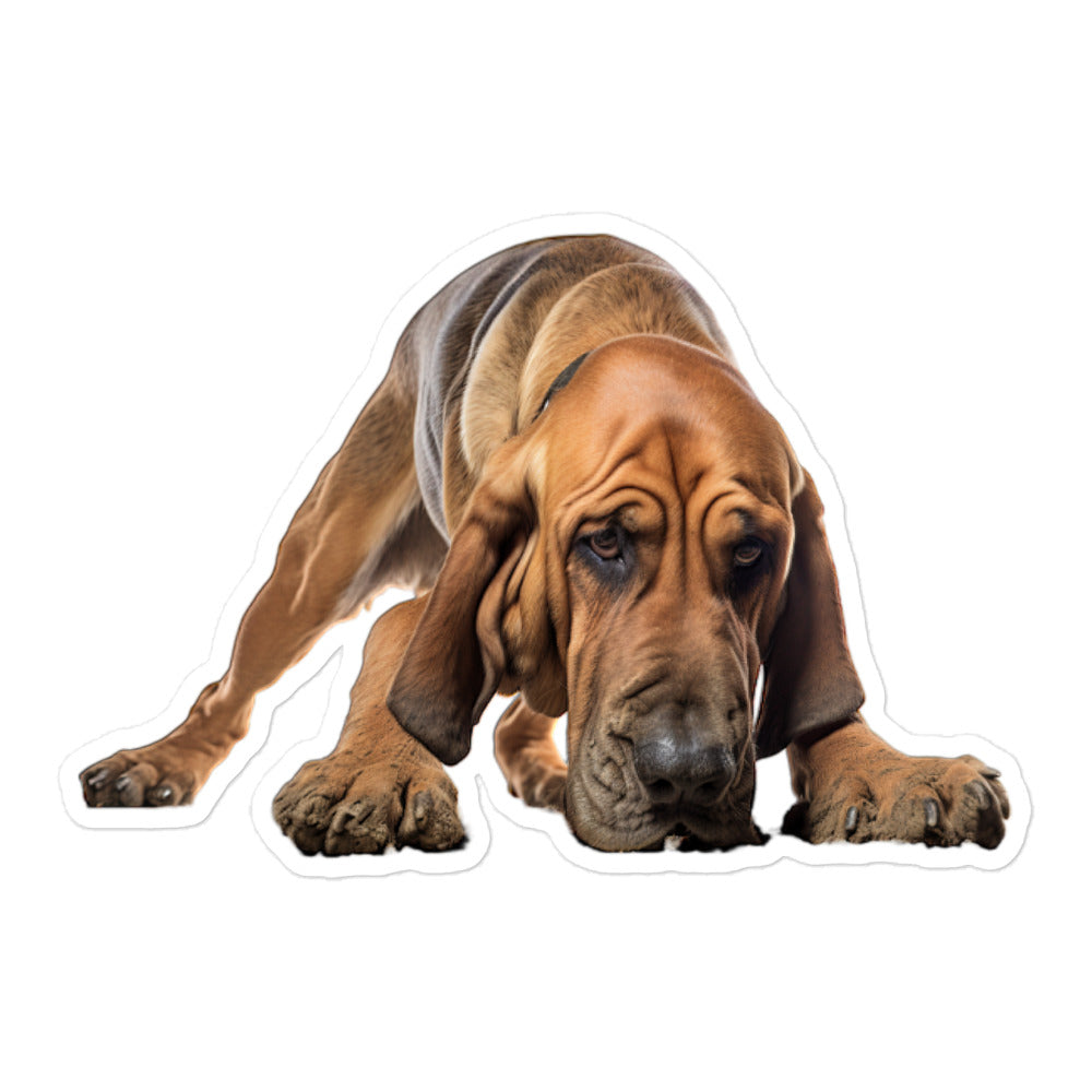 Bloodhound Sticker - Stickerfy.ai