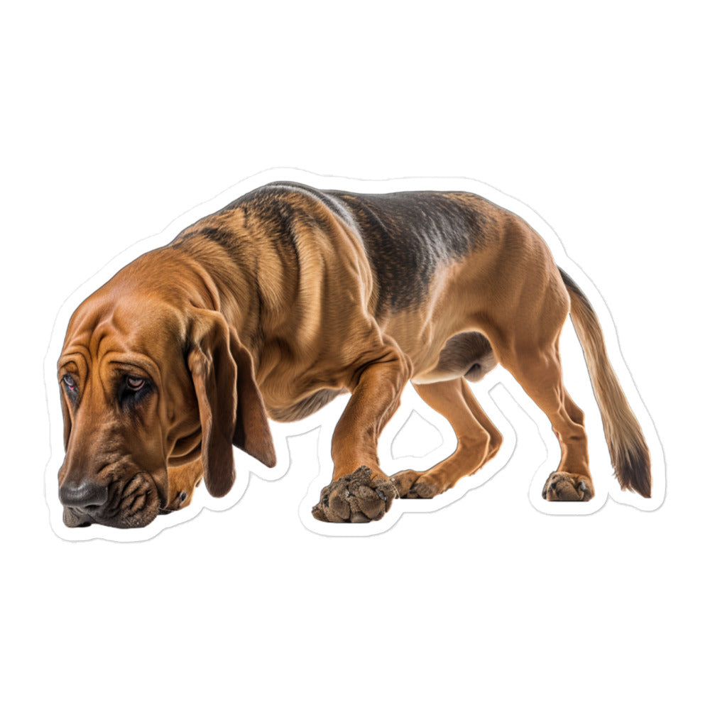 Bloodhound Sticker - Stickerfy.ai