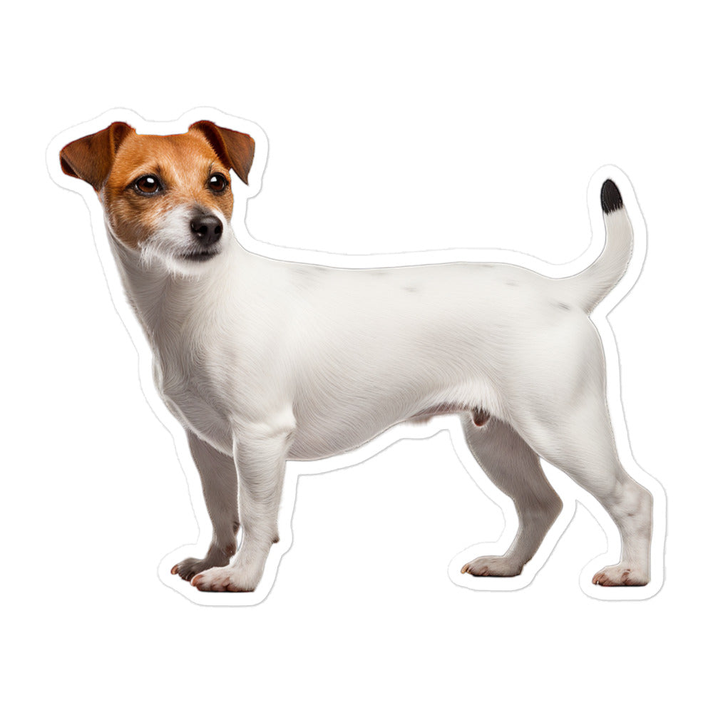 Jack Russell Terrier Sticker - Stickerfy.ai