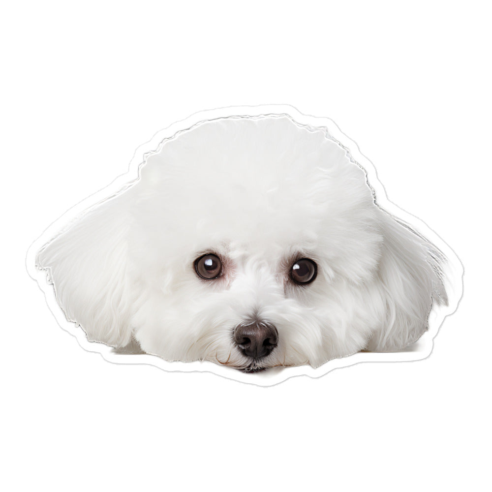 Bichon Frise Sticker - Stickerfy.ai