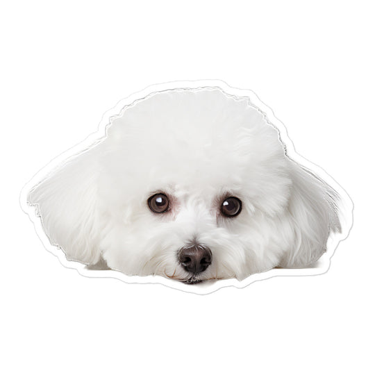 Bichon Frise Sticker - Stickerfy.ai