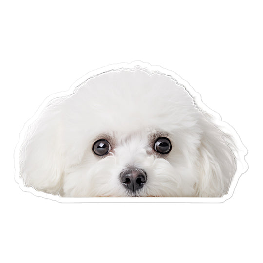 Bichon Frise Sticker - Stickerfy.ai