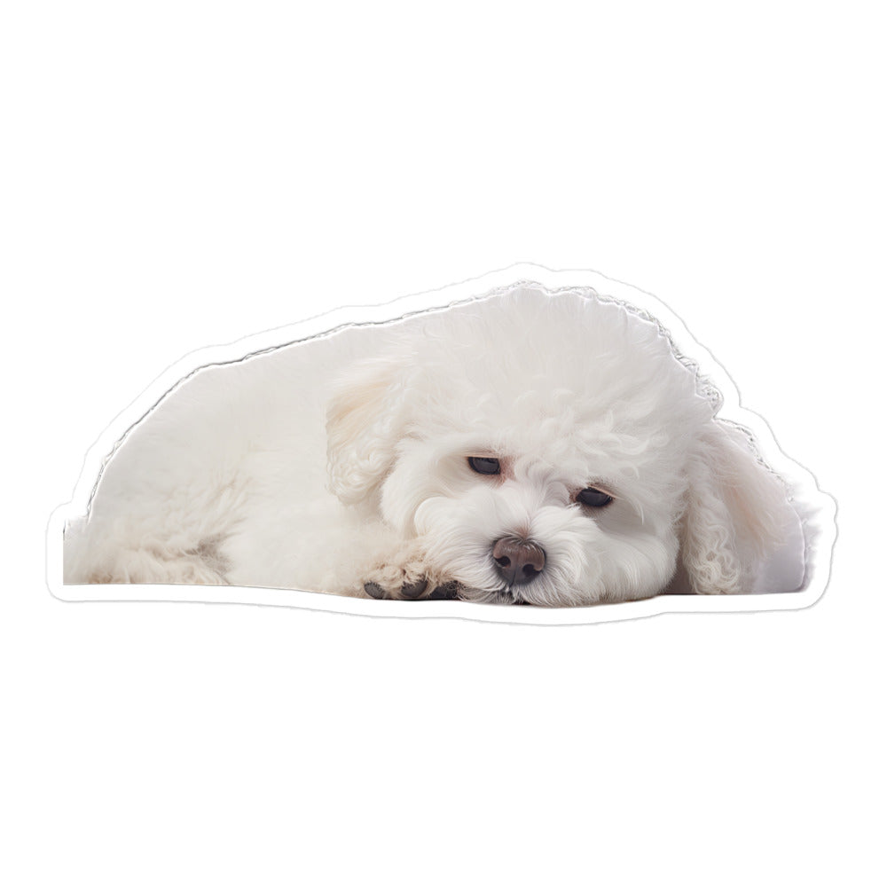 Bichon Frise Sticker - Stickerfy.ai