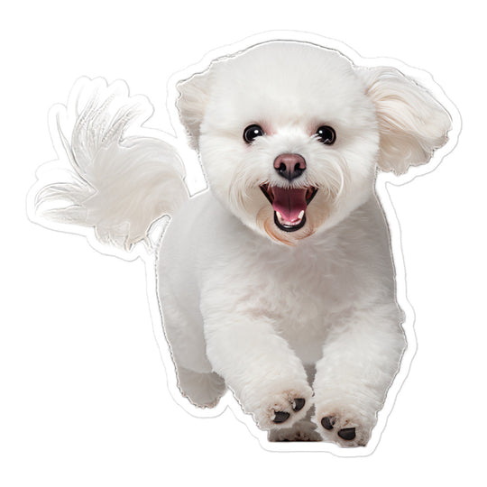 Bichon Frise Sticker - Stickerfy.ai