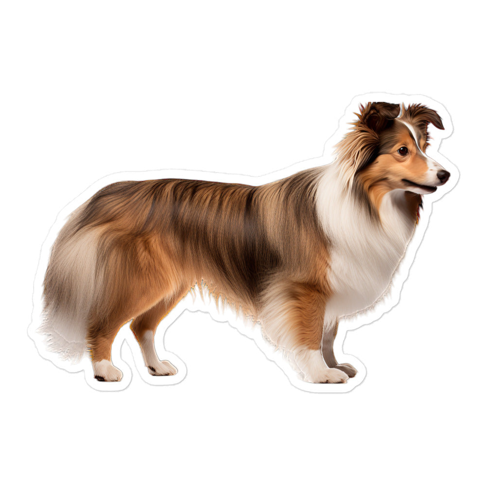 Shetland Sheepdog Sticker - Stickerfy.ai