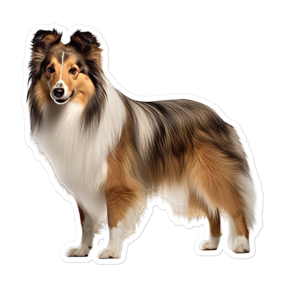 Shetland Sheepdog Sticker - Stickerfy.ai