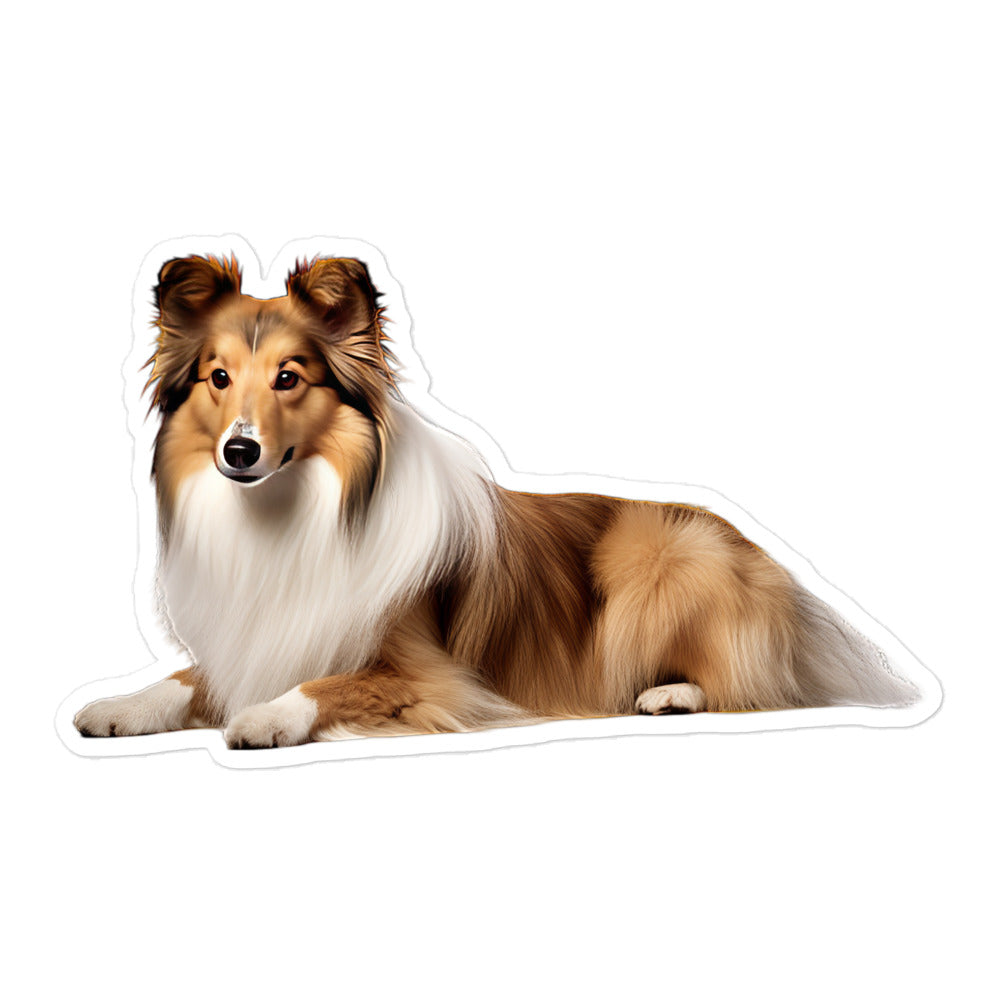Shetland Sheepdog Sticker - Stickerfy.ai