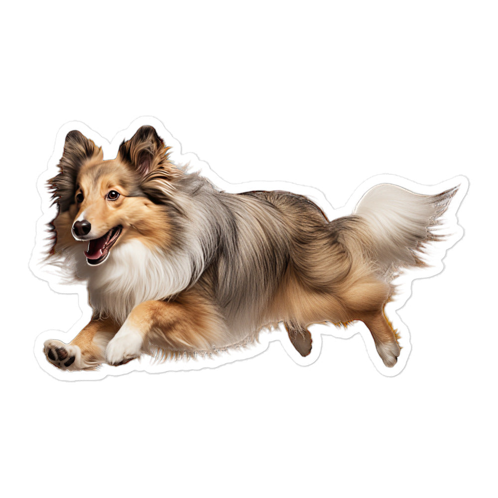 Shetland Sheepdog Sticker - Stickerfy.ai