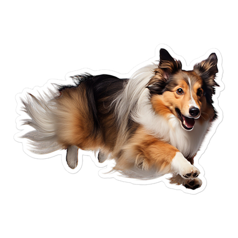 Shetland Sheepdog Sticker - Stickerfy.ai