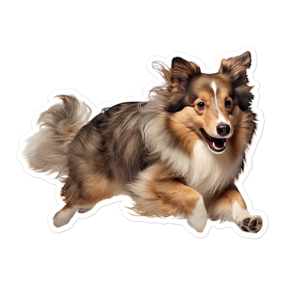 Shetland Sheepdog Sticker - Stickerfy.ai