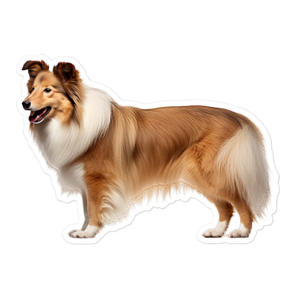 Shetland Sheepdog Sticker - Stickerfy.ai