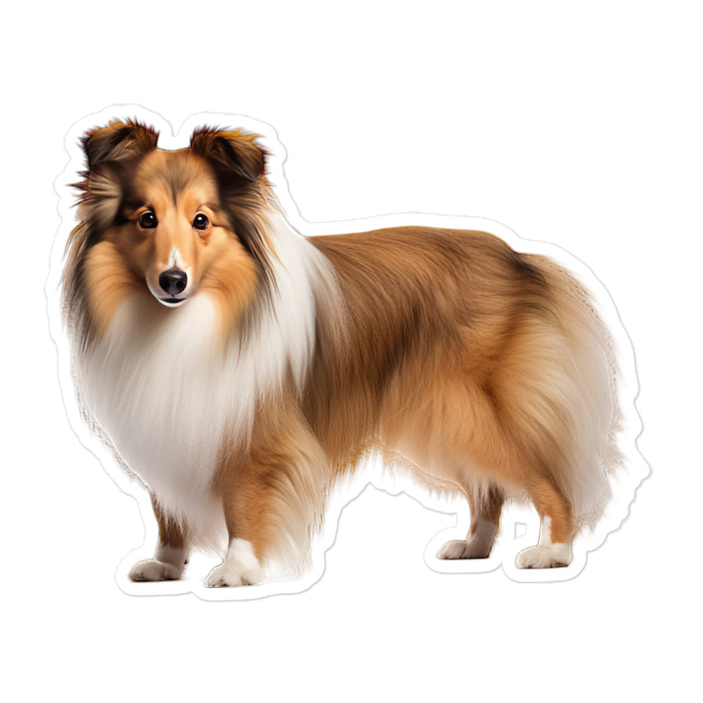 Shetland Sheepdog Sticker - Stickerfy.ai