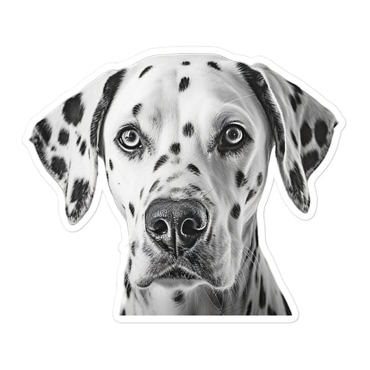 Dalmatian Sticker - Stickerfy.ai