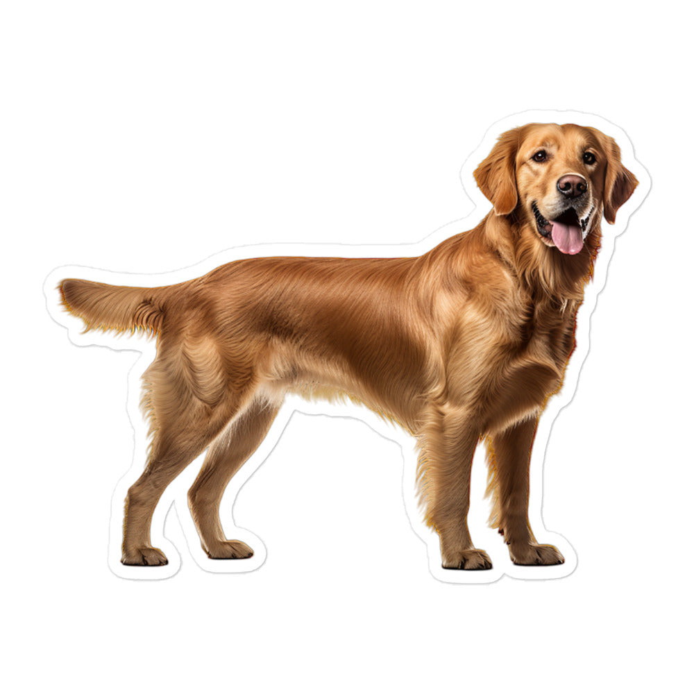 Golden Retriever Sticker - Stickerfy.ai