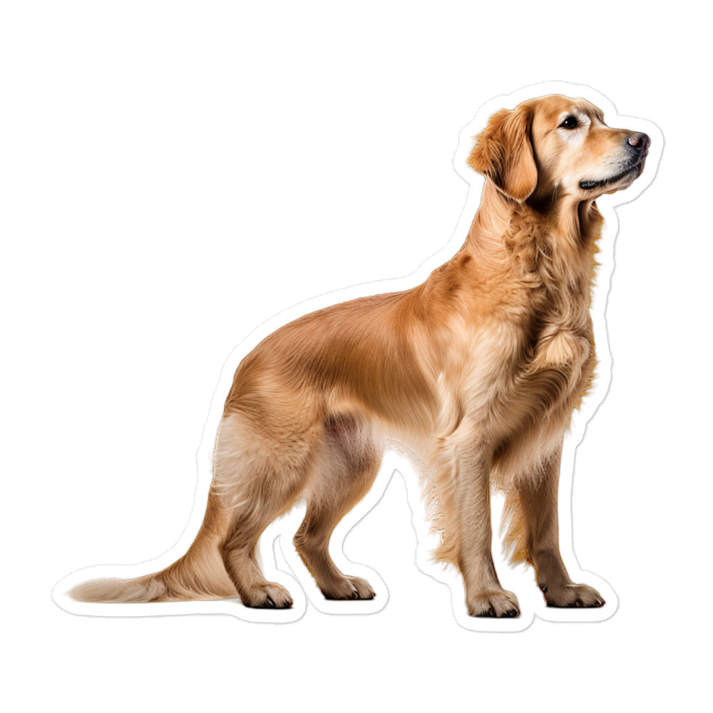 Golden Retriever Sticker - Stickerfy.ai