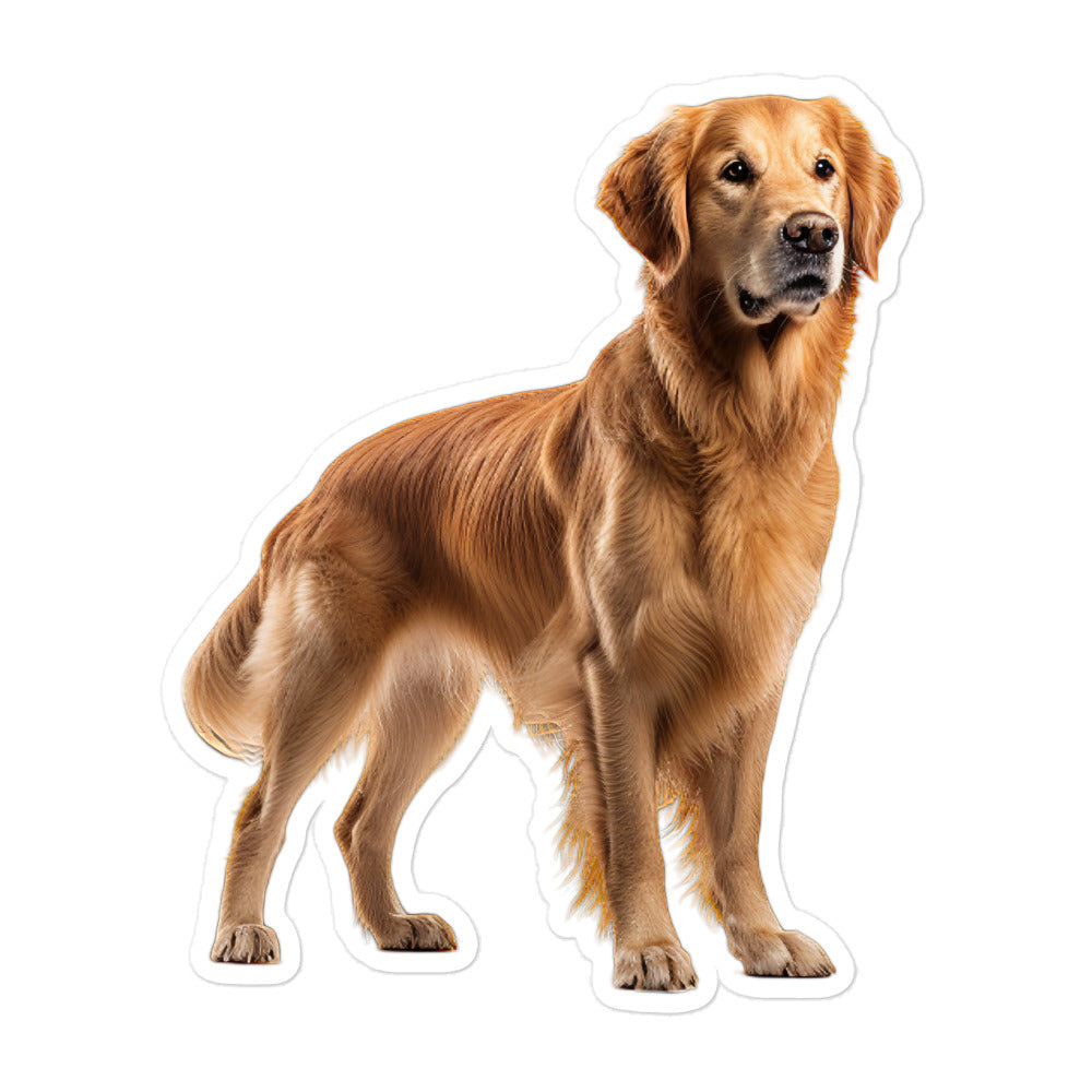 Golden Retriever Sticker - Stickerfy.ai