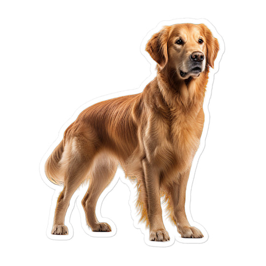 Golden Retriever Sticker - Stickerfy.ai