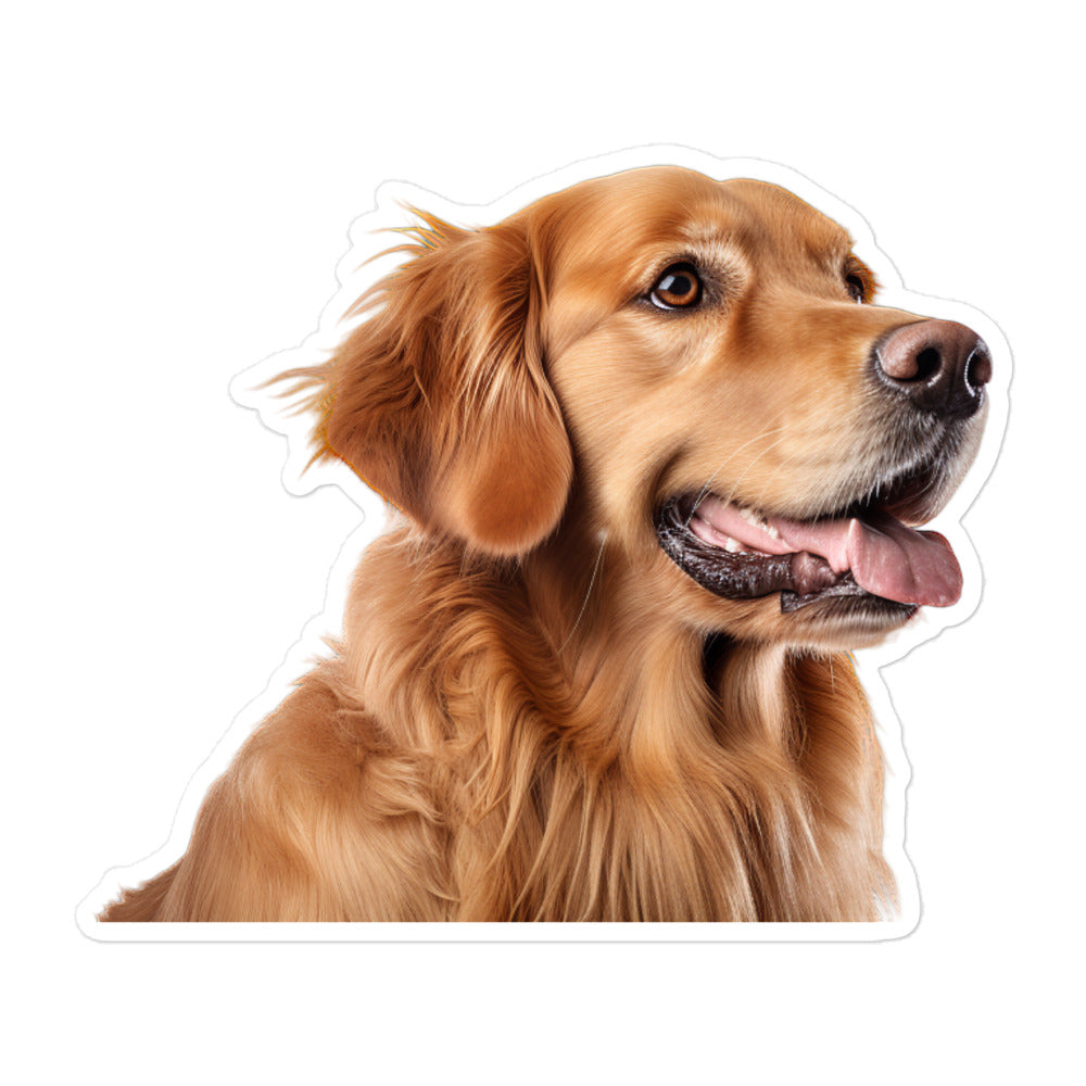 Golden Retriever Sticker - Stickerfy.ai