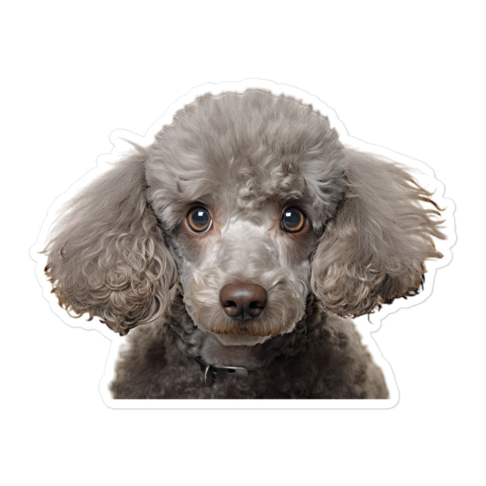 Poodle Sticker - Stickerfy.ai