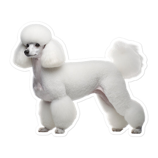 Poodle Sticker - Stickerfy.ai