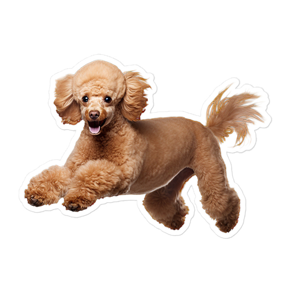 Poodle Sticker - Stickerfy.ai