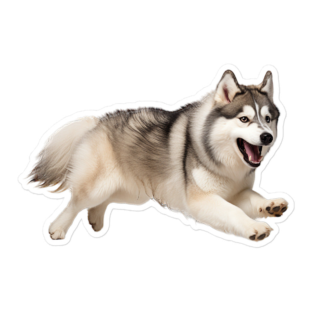 Alaskan Malamute Sticker - Stickerfy.ai
