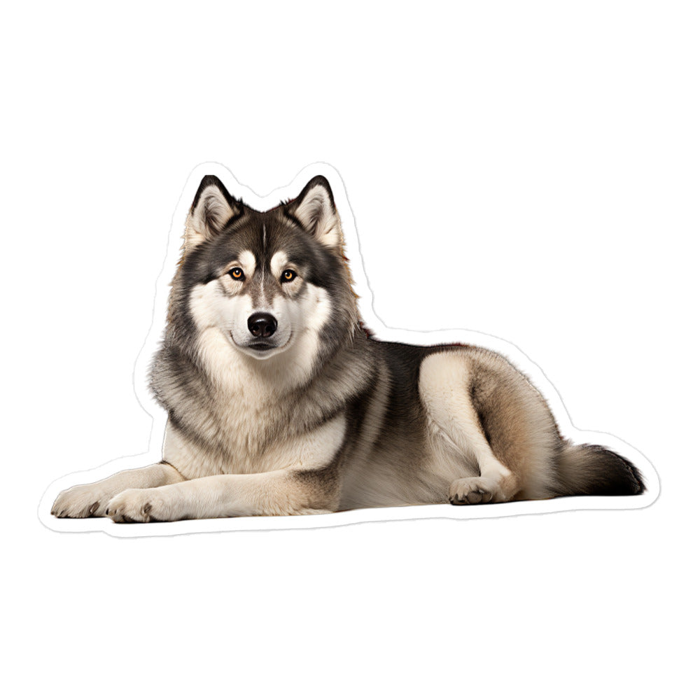 Alaskan Malamute Sticker - Stickerfy.ai