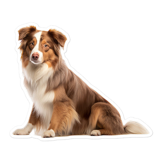 Australian Shepherd Sticker - Stickerfy.ai