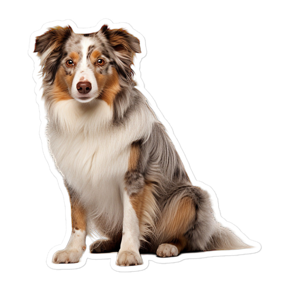 Australian Shepherd Sticker - Stickerfy.ai
