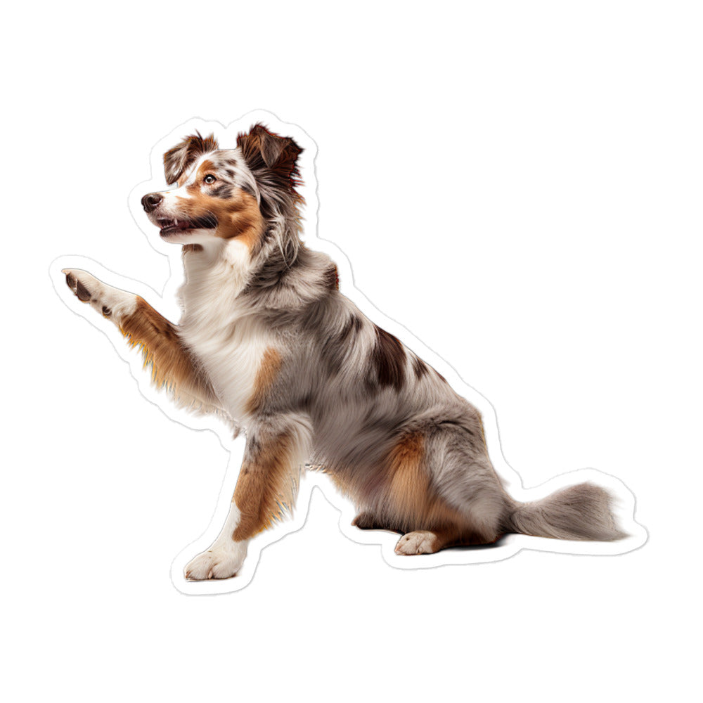 Australian Shepherd Sticker - Stickerfy.ai