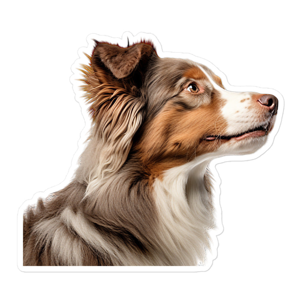 Australian Shepherd Sticker - Stickerfy.ai