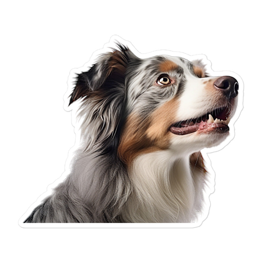 Australian Shepherd Sticker - Stickerfy.ai