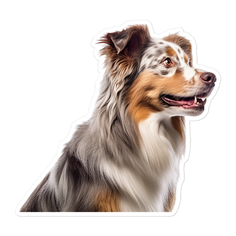 Australian Shepherd Sticker - Stickerfy.ai