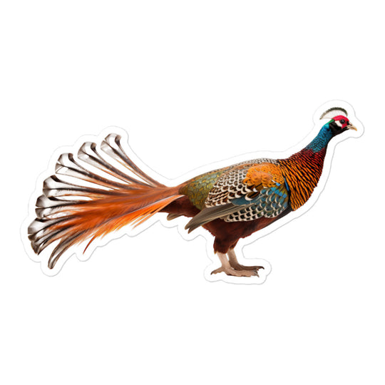 Ring Necked Pheasant Sticker - Stickerfy.ai