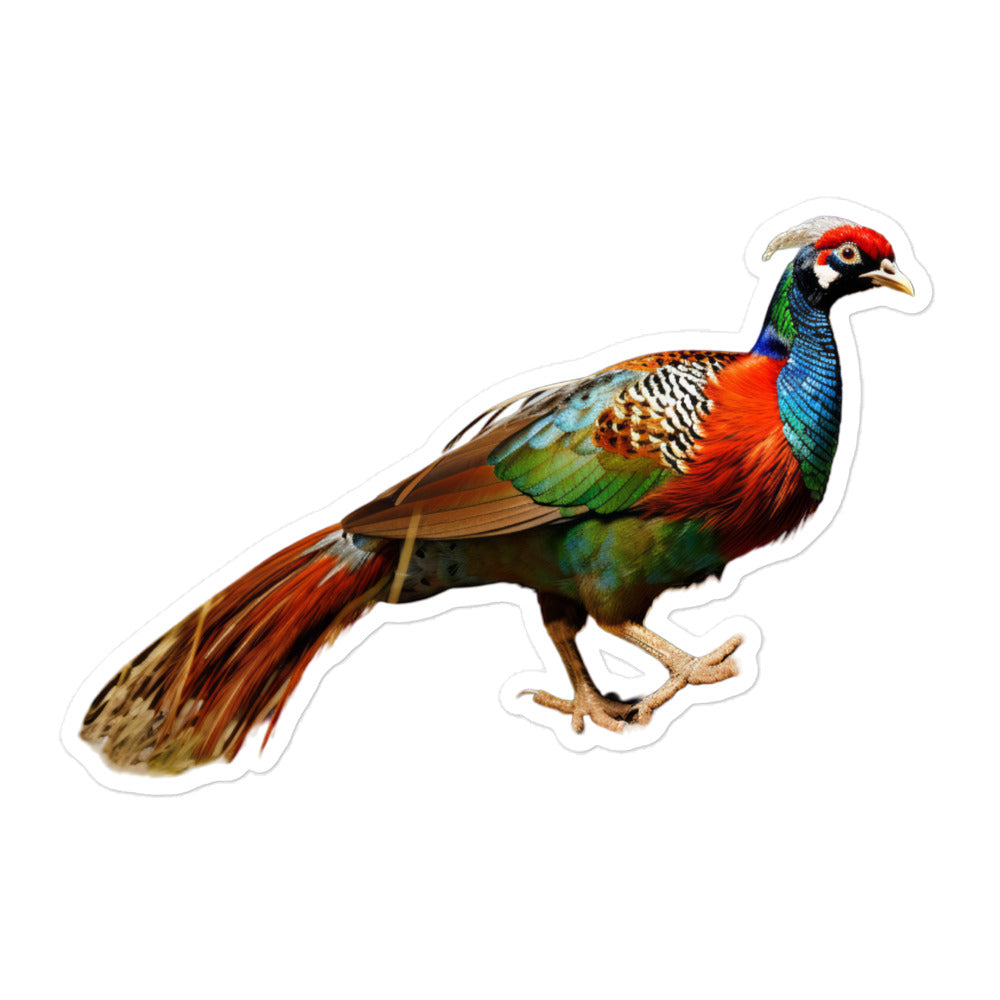 Ring Necked Pheasant Sticker - Stickerfy.ai