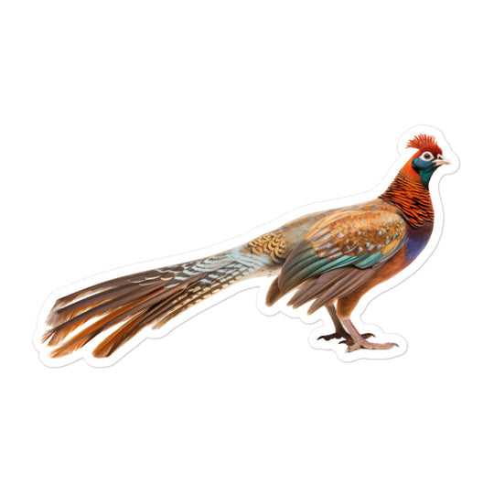 Ring Necked Pheasant Sticker - Stickerfy.ai