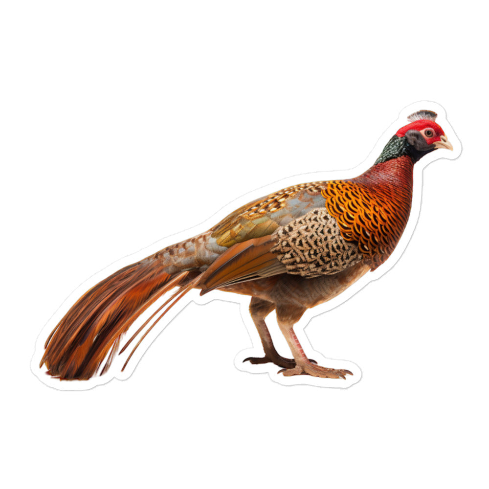 Ring Necked Pheasant Sticker - Stickerfy.ai